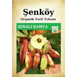 Yerli Kınalı Bamya Tohumu Doğal Ata Tohum Pakette 10 Gr 150 Tohum + Sebze Tohumu