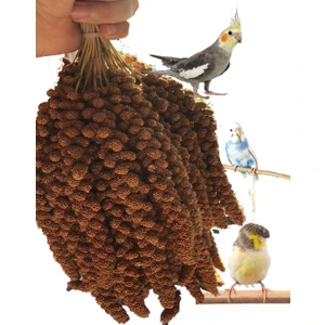 NGD Shop Kızıl Dal Darı 500 gr Premium Kalite 2025 Hasat Yerli Üretim