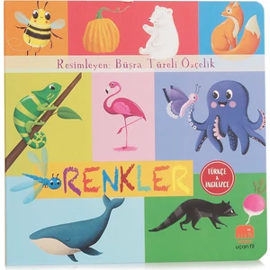 Renkler (Türkçe - İngilizce)