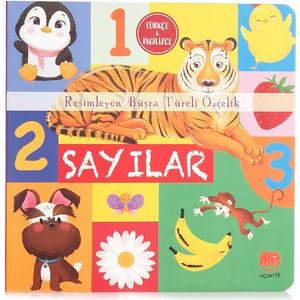 Sayılar (Türkçe - İngilizce)