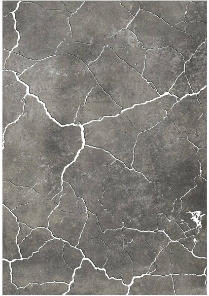 Dijital Baskılı Kaymaz Taban Yıkanabilir Modern Salon Halısı Mutfak Halısı Yolluk VH-HY-1084 fiyatları