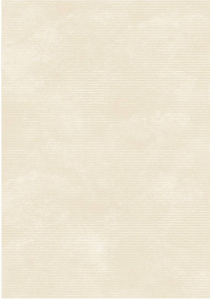 Dijital Baskılı Kaymaz Taban Yıkanabilir Salon Halısı Mutfak Halısı Yolluk VH-SD-743 fiyatları