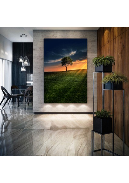 Gün Batımında Güneş Işıkları Altındaki Ağaç Doğa Manzara Kanvas Tablo