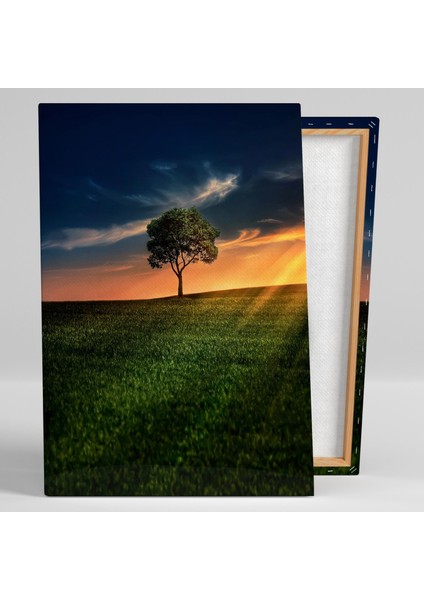 Gün Batımında Güneş Işıkları Altındaki Ağaç Doğa Manzara Kanvas Tablo fiyatları