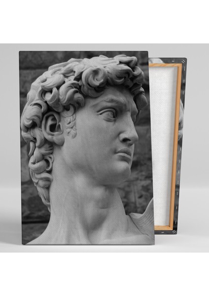 Michelangelo Davud Heykeli David Statues Heykel Taş Dekor Kanvas Tablo