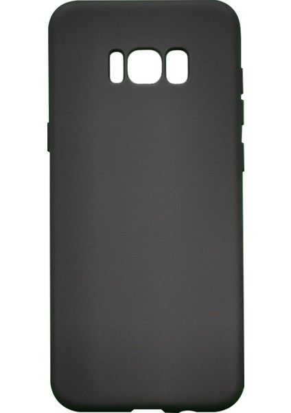 Samsung Galaxy G955 S8 Plus Uyumlu Nano Arka Koruma