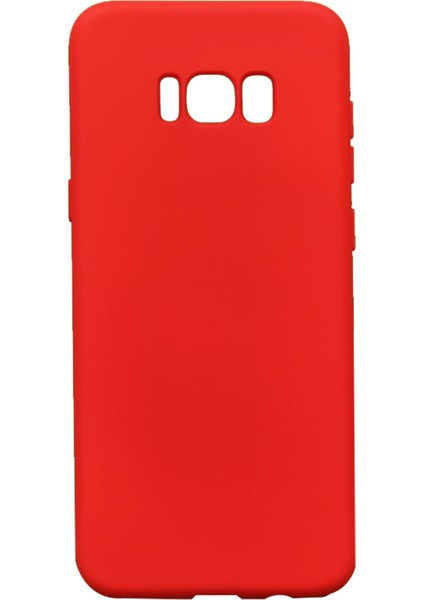 Samsung Galaxy G955 S8 Plus Uyumlu Nano Arka Koruma