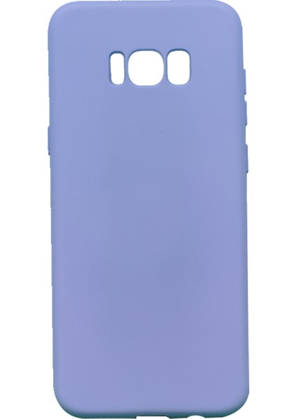 Samsung Galaxy G955 S8 Plus Uyumlu Nano Arka Koruma