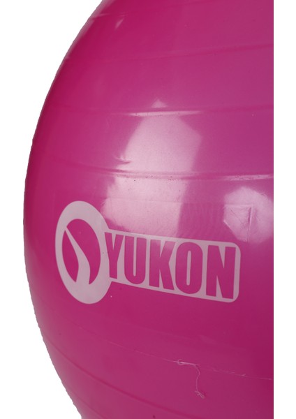 Pilates Topu ( Pompa Hediyeli ) indirimleri