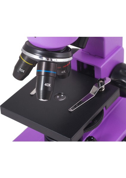 Raınbow 2l Amethyst/ametist Mikroskop indirimleri