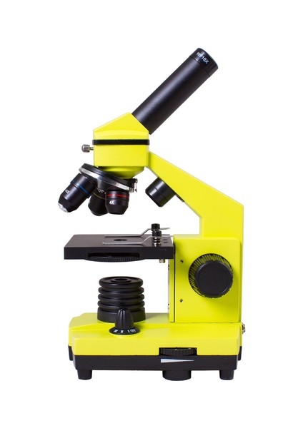 Raınbow 2l Plus Lime/yeşil Limon Mikroskop fiyatları