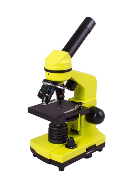 Raınbow 2l Lime/yeşil Limon Mikroskop