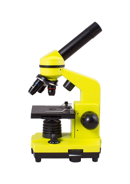 Raınbow 2l Lime/yeşil Limon Mikroskop
