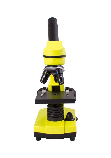 Raınbow 2l Lime/yeşil Limon Mikroskop