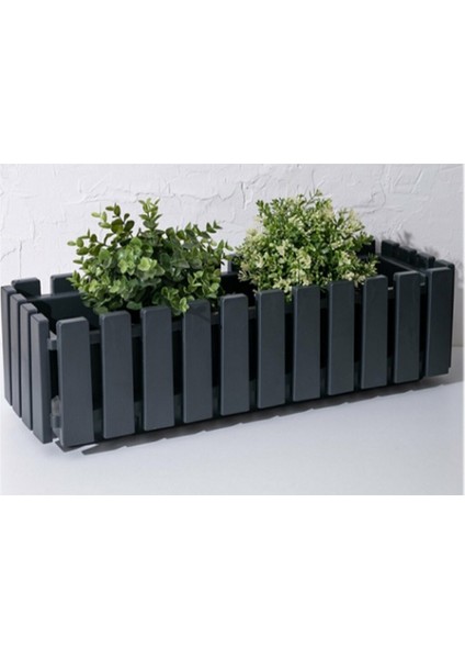 EminHome 1 Adet Akasya Çit Balkon Saksı 60 Cm 11 Lt