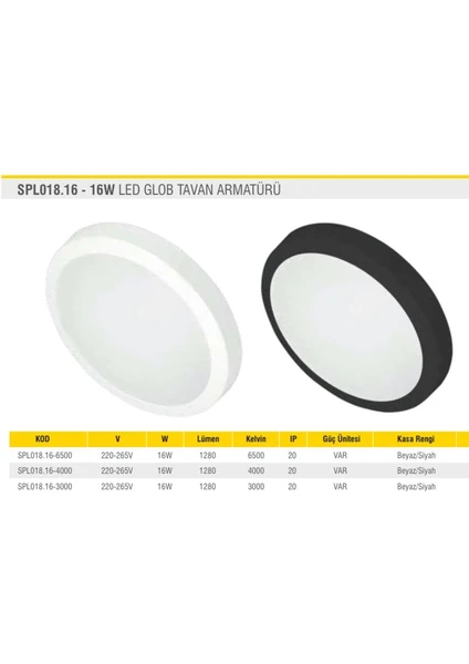 16W LED Glob Tavan Armatürü Si̇yah Gövde 5 Adet