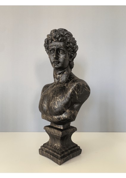 Büyük David Altın Mermer Efekt Büst Heykel fırsatları