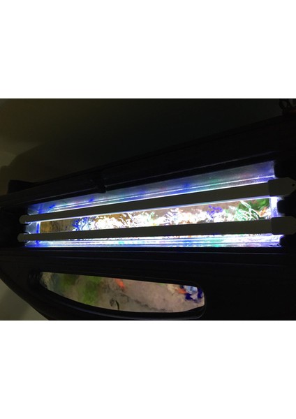 Shark Akvaryum Aydınlatma Fullspectrum 4 Renk Bar LED 20 cm