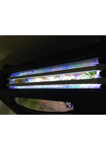 Shark Akvaryum Aydınlatma Fullspectrum 4 Renk Bar LED  20 cm