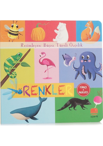 Renkler (Türkçe - İngilizce)