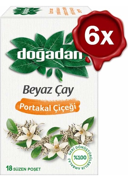 Beyaz Çay Portakal Çiçeği x 6