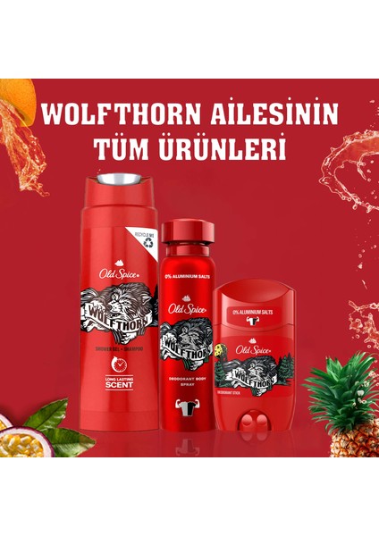 Deo Stick Wolfthorn 50 ml
