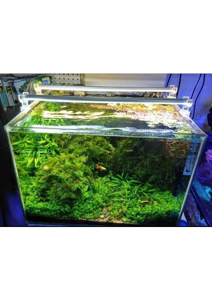 Shark Akvaryum Aydınlatma 3 Renk Grolüx Bar LED 50 cm fiyatları