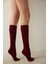 Bordo Knit Pantolon Çorabı-Pentilicious 1