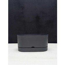 Leo Garden Begonya Balkon Saksı