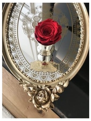  Solmayan Gül Xl Boy 6,5x4,5 Ölçülerinde