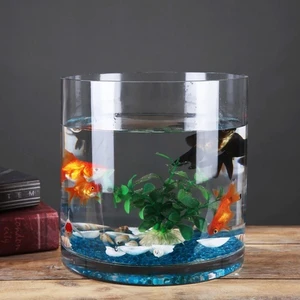 Canlı Petshop Hediyelik Silindir Japon Fanus Seti (2 Adet Japon +Fanus+Kum+Yem)