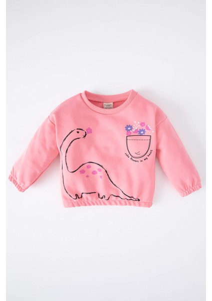 Kız Bebek Bisiklet Yaka Dinozor Baskılı Sweatshirt Z0776A222WN