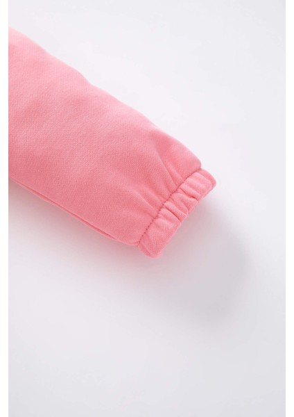 Kız Bebek Bisiklet Yaka Dinozor Baskılı Sweatshirt Z0776A222WN