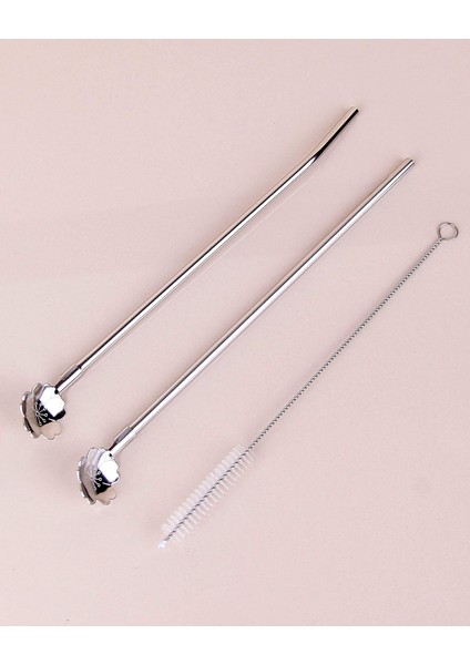 Paslanmaz Metal 2 Li Kaşıklı Pipet Fırça Seti