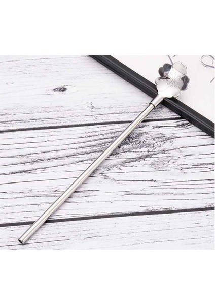 Paslanmaz Metal 2 Li Kaşıklı Pipet Fırça Seti
