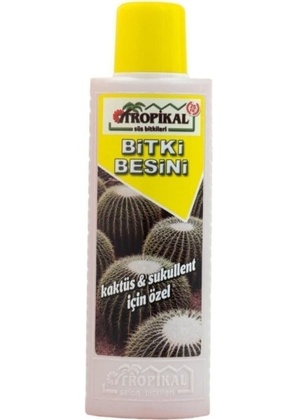 Tropikal Orkide Bitki Besini