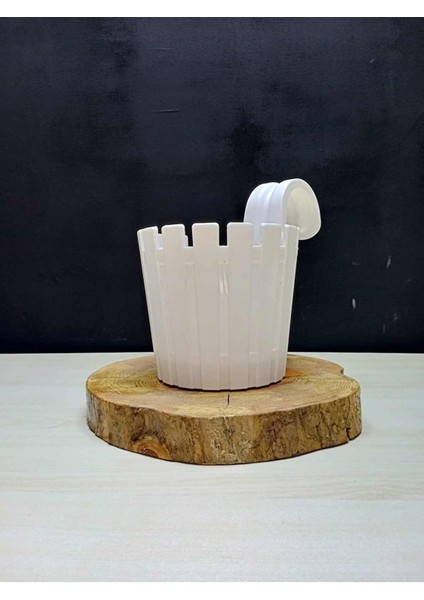 Akasya Tekli Kolay Askı Saksı