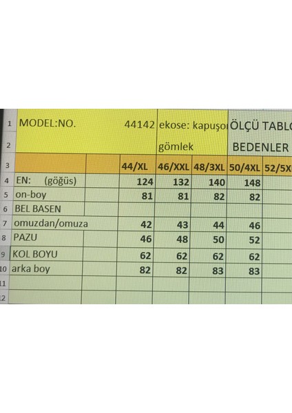 Büyük Beden Kapuşonlu Kadın Gömlek indirimleri