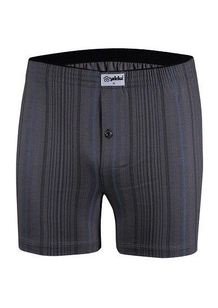 43 Desenli Boxer
