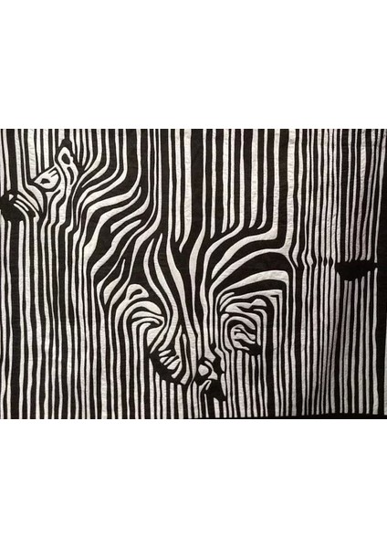 Zebra Kanvas Tablo modelleri