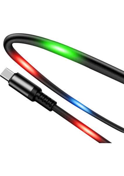 Samsung Galaxy Note 10+ (Plus) SM-N975F Şarjkablosu Işıklı Type C DC11