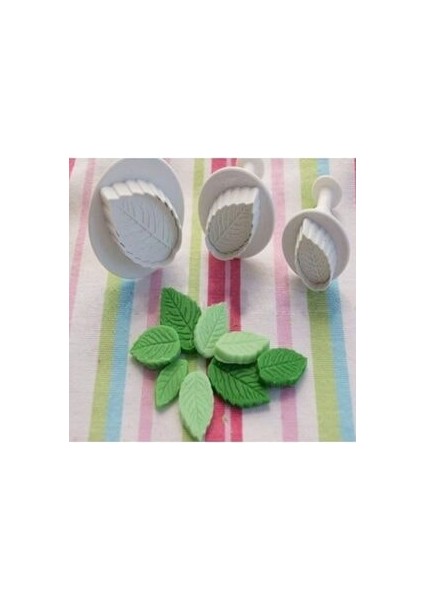 3 Boy Yaprak Basmalı Kopat