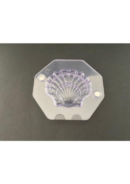 3D Deniz Kabuğuşeffaf Çikolata Kalıbı