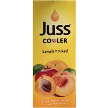 Juss Cooler Karışık Meyve Aromalı Meyve Suyu 27 x 200 ml