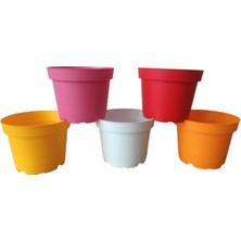 10 Adet 5 Renkli Plastik Saksı (10.5 CM.LİK) Alt Tabaksız