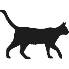 Technopa Kedi Folyo Sticker 200CM Uzunluk