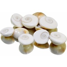 Berat Yılancık Taşı Şifa Taşı Dişi ve Erkek Karışık 27 Adet