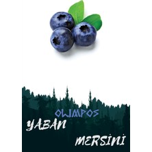 Olimpos Tarım 6 Adet Yaban Mersini - Blueberry (Duke) Meyve Fidanı Tüplü