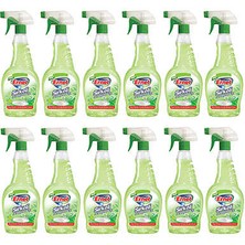 Ernet Sirkeli Temizleyici 750 ml 12LI