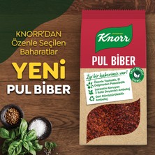 Knorr Ekonomik Pul Biber 200 gr